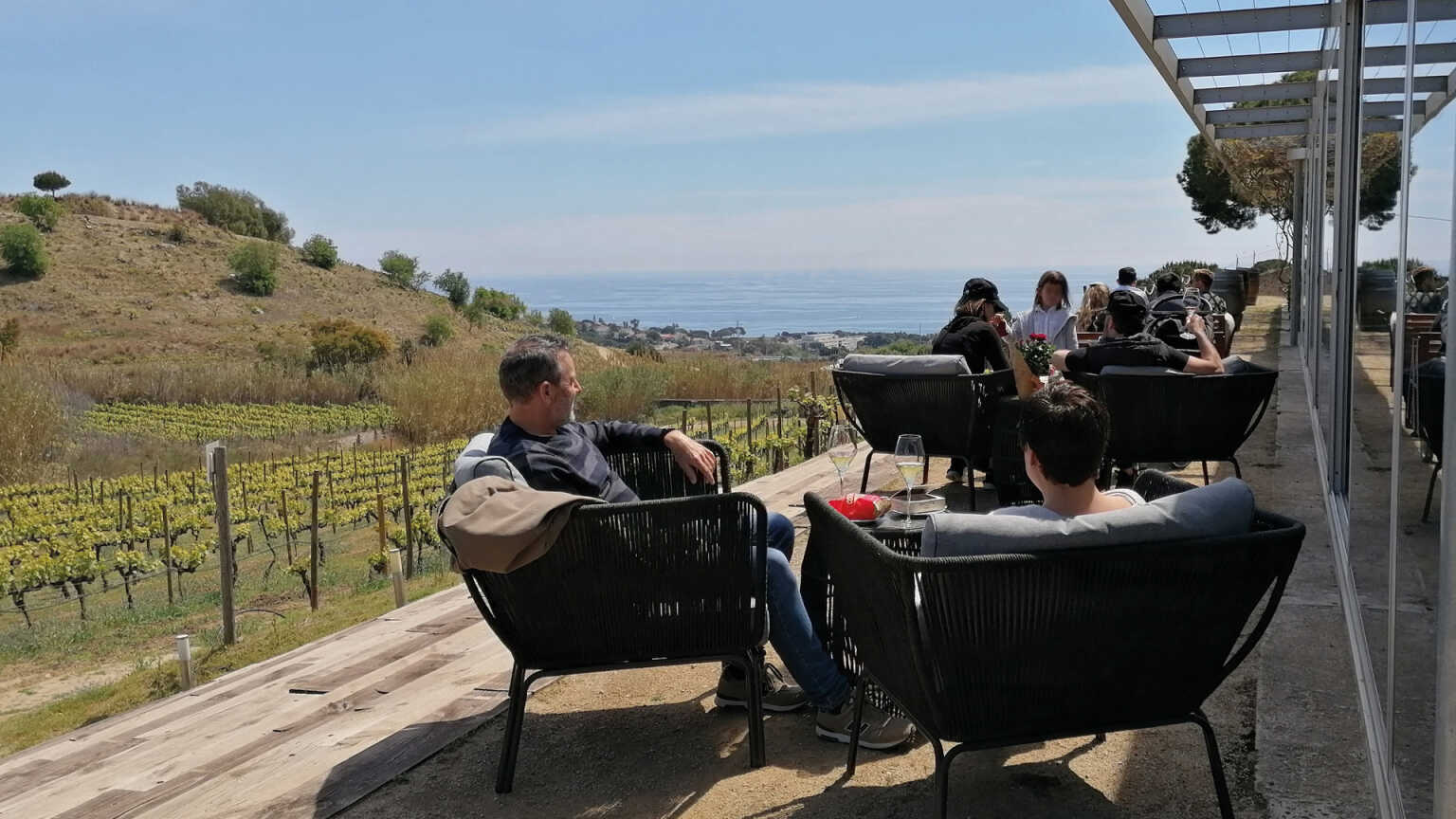 Tour and wine tasting (English) Alta Alella