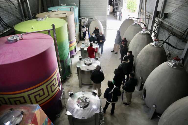 Tour and wine tasting (English) Alta Alella