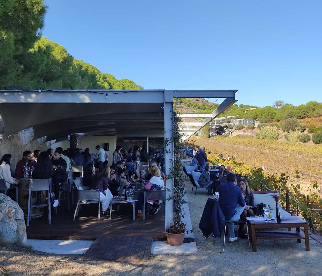 Tour and wine tasting (English)