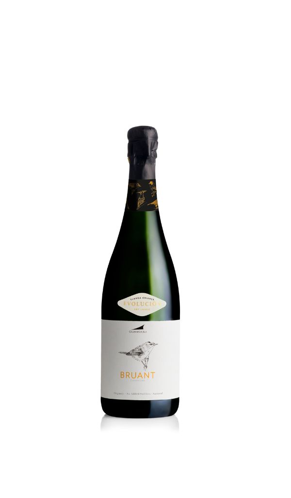 Bruant DO cava ecològic sense sulfits Celler de les Aus. Cava sin sulfitos ecológico. Organic sulfite-free cava